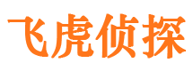 桓台外遇调查取证